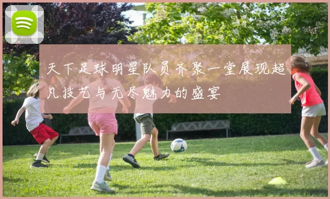 天下足球明星队员齐聚一堂展现超凡技艺与无尽魅力的盛宴