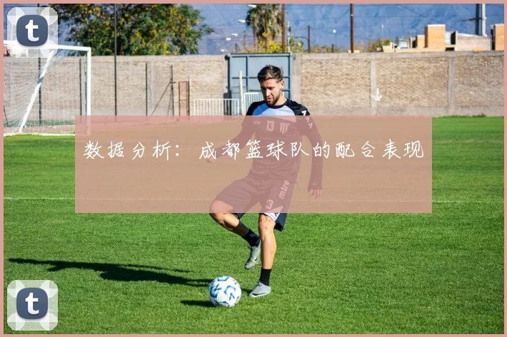 数据分析：成都篮球队的配合表现