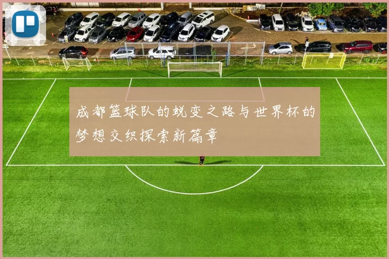 成都篮球队的蜕变之路与世界杯的梦想交织探索新篇章
