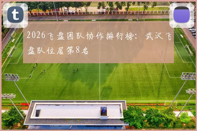 2026飞盘团队协作排行榜：武汉飞盘队位居第8名