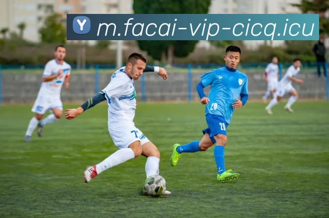 爱游戏体育品牌故事